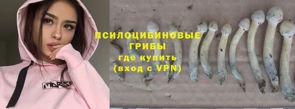стаф Куйбышев