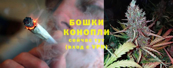 стаф Кулебаки