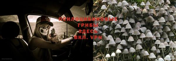 гидропоника Кукмор