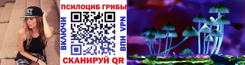Псилоцибиновые грибы Psilocybe  Южно-Сухокумск 